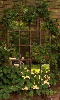 Foliage growth around a garden mirror can work so well