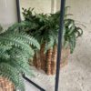 Elegant Contemporary Home and Garden Mirror - Image 3