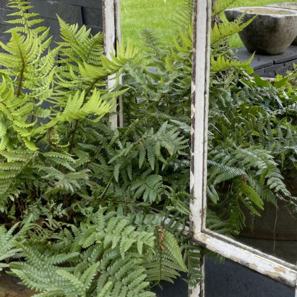 Aldgate Home Panelled Rustic Antique Mirror
