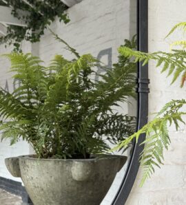 Traditional Pill Design Smoked Mirror  for the Home and Garden