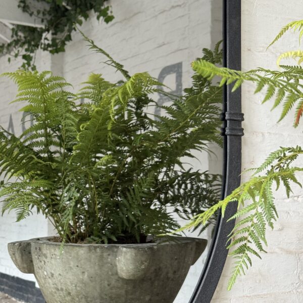 Traditional Pill Design Smoked Mirror  for the Home and Garden - Image 2