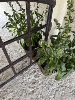 Swedish Portrait Aldgate Home Garden and Home Mirror