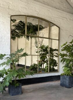 Special-antique-garden-mirror